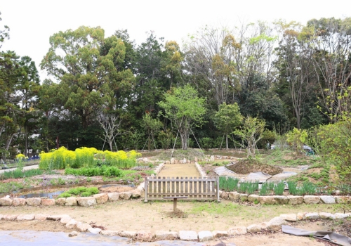植栽活動