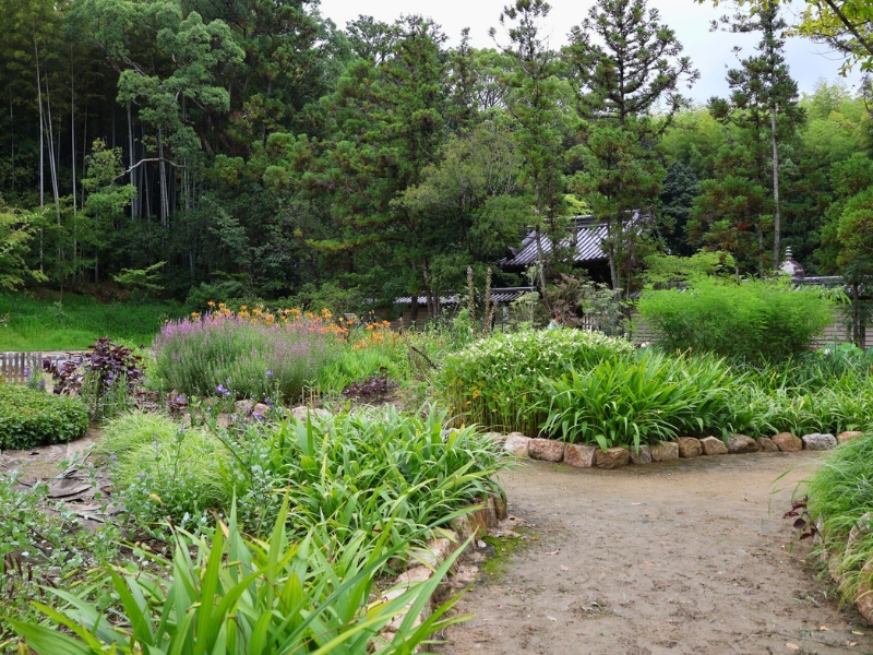 薬草園の風景