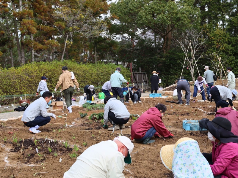 薬草園の復興